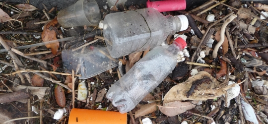 Plastic Trash on Port Melbourne Beaches