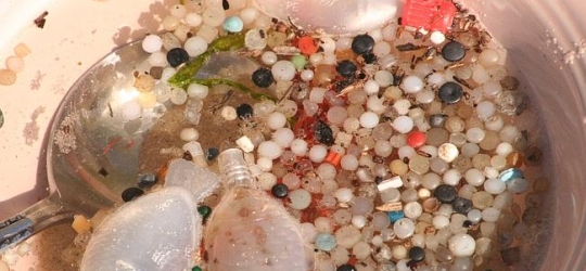 Port Phillip Bay Polluted with Microplastics – Australia