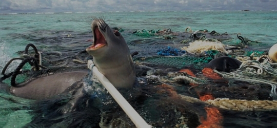 These 27 Powerful Photos Will Make You Swear Off Plastic Forever