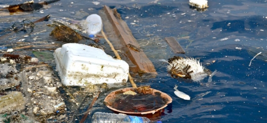 Plastic waste in marine ecosystems cost US$13bn in damages