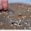 Microplastics in the ocean are moving up the food chain