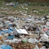 Plastic grocery bag ban passed by Mass. Senate | NewBostonPost
