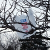 Framingham will join towns banning plastic bags | NewBostonPost