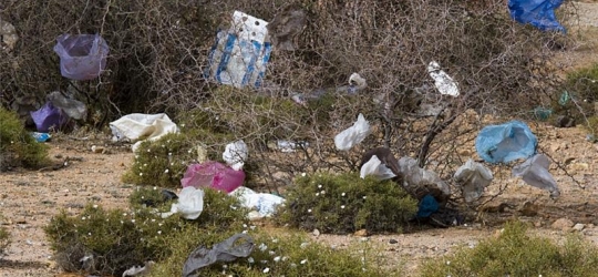 Going green: Morocco bans use of plastic bags