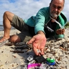 Microbeads are leaching toxic chemicals into fish, sparking public health fears