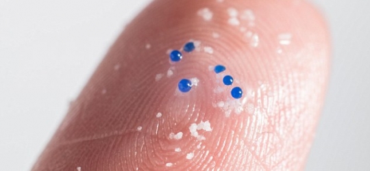 Plastic found in third of fish caught in Britain because of microbeads