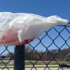 Bill to ban local regulation of plastic bags set to advance