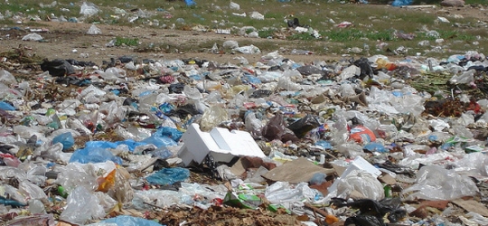 Kenya Becomes The Latest African Country To Ban Plastic Bags | Care2 Causes
