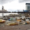 Curb ‘devastating’ plastic waste, MPs say