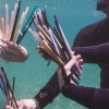 The problem with an outright ban on plastic straws