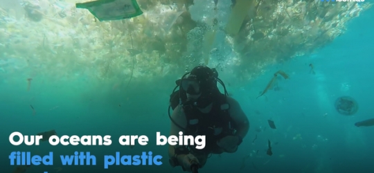 NSW won’t ban plastic bags, but Eritrea, Kenya and Rwanda all do
