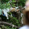 RIP plastic bag ban; now on to Plan B – Texas