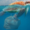 Ban on mixed plastic waste exports comes into effect today – Australia