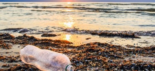 SA seeks consultation on more plastic bans – Australia