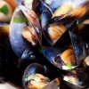 Mussels suffer from ingesting plastic – Australia
