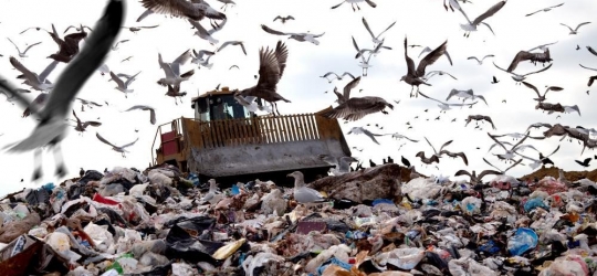 What Really Happens To Your Plastic “Recycling”