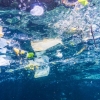 Microplastics flow into Gulf waters – Australia