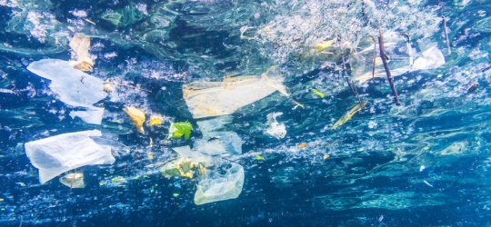 Microplastics flow into Gulf waters – Australia