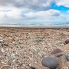 Fighting microplastics one beach at a time with Deakin – Australia