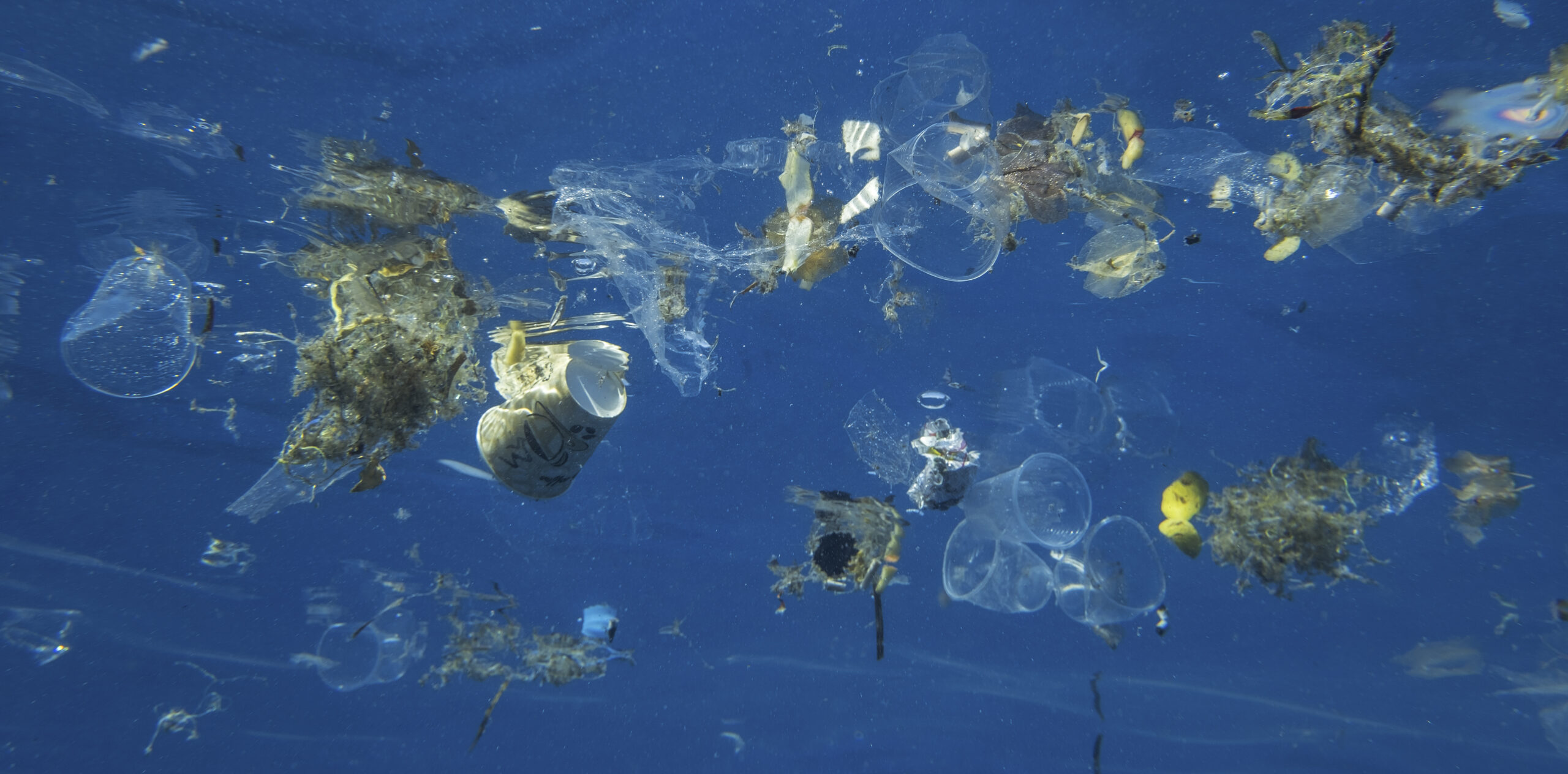 Plastic and other debris floats underwater in the Red Sea off Sharm El Sheikh, Egypt. Credit: Andrey Nekrasov / Barcroft Media via Getty Images.