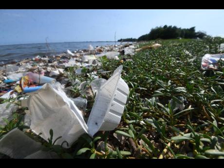 In this September 2020 photograph, Sirgany Beach is littered with garbage, including plastic lunch boxes which have replaced the now-banned Styrofoam models.