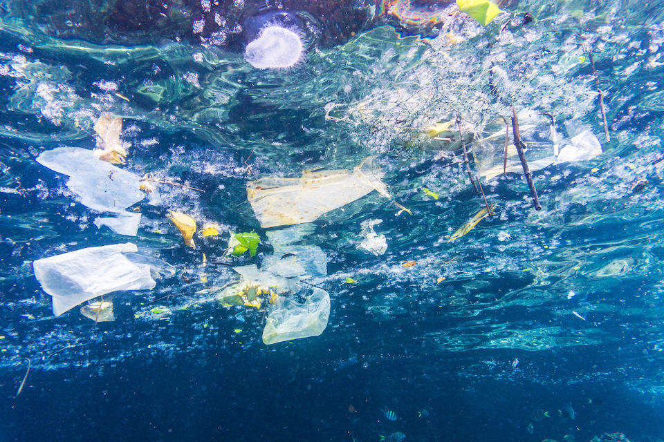 microplastics in marine environments