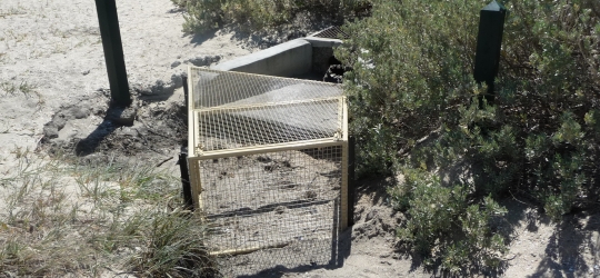 Litter traps for plastic debris installed along Beaches