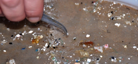 The North Atlantic Garbage Patch: A Plastic Soup of Pollutants Ladled from Consumption | Frank Gromling | FlaglerLive – Your News Service for Flagler County News Palm Coast News Bunnell Flagler Beach Beverly Beach and Marineland