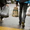Sustainable: New biodegradable plastic bag is in the works