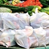 Indian City Corp clueless on plastic bags