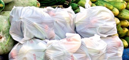 Indian City Corp clueless on plastic bags