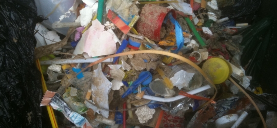 Volunteer Beach Patrol groups pick up plastic litter