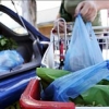 Plastic ban in the bag Tasmania News – Australia