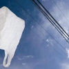Life peer raises question over plastic bag tax – UK