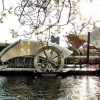 Baltimore’s Water Wheel Keeps On Turning, Pulling In Tons Of Trash – USA