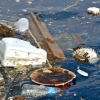 Plastic waste in marine ecosystems cost US$13bn in damages