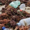 More than 25,000kg of plastic littered in NZ daily – New Zealand