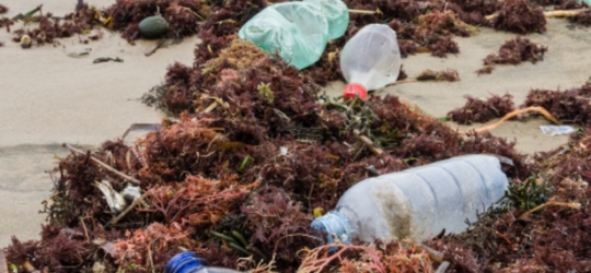 More than 25,000kg of plastic littered in NZ daily – New Zealand