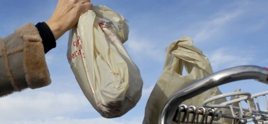 Freeport approves ban on single-use plastic bags – The Portland Press Herald / Maine Sunday Telegram