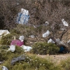 Going green: Morocco bans use of plastic bags