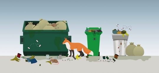 Overflowing garbage bins: environmental impacts and prevention
