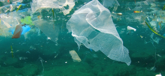 Yes, Plastic Bag Recycling Is Possible — What To Know – Earth911.com