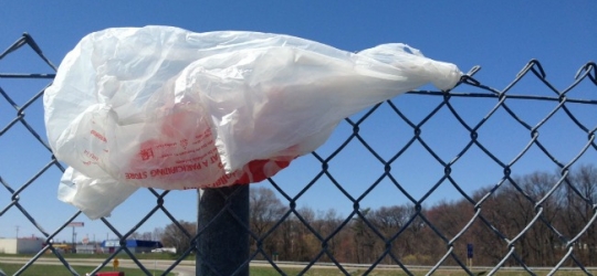 Bill to ban local regulation of plastic bags set to advance