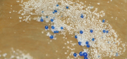 Make-up products containing tiny plastic microbeads to be banned by Govt – National – NZ Herald News