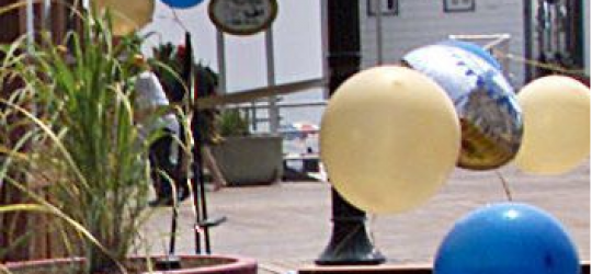 Shore towns should match Absecon Island balloon-release ban – USA