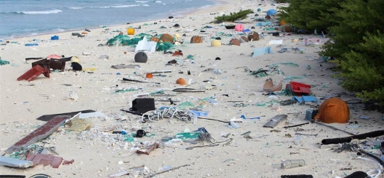 38 million pieces of trash found on uninhabited island in Pacific
