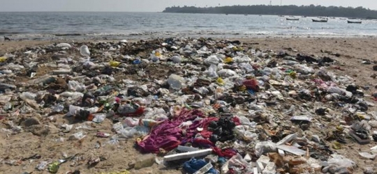 From garbage dump to garden of Eden: How locals transformed one of Mumbai’s dirtiest beaches – India