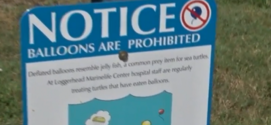 Balloon ban at Palm Beach County beach parks takes effect Sept. 1