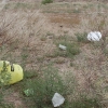 Bisbee plans challenge to bag ban complaint – USA