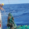 Plastic in Pacific ‘growing rapidly’